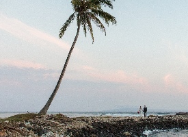 Olowalu Estate Photo Gallery