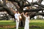 Maui Wedding Locations